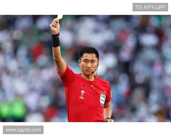 马宁裁判组滞留中东后辗转回国 马宁裁判组滞留中东后辗转回国